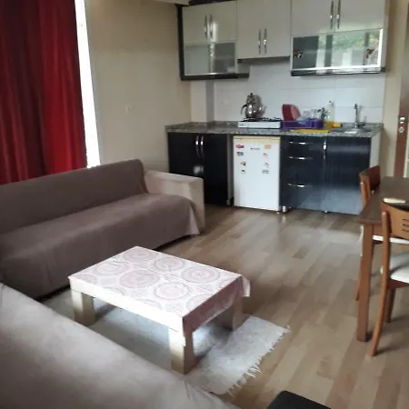 1+1 Bedroom City Center