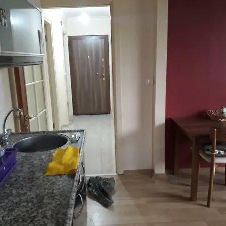 1+1 Bedroom City Center Appartement Kuşadası